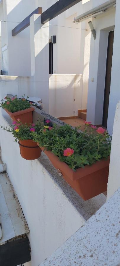 알라마 데 무르시아 Condado De Alhama, Naranjos 8 아파트 외부 사진